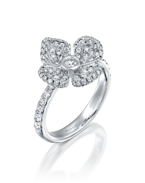 Violetto Shine Ring