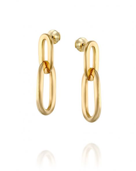 Gold By Padani Link Earrings