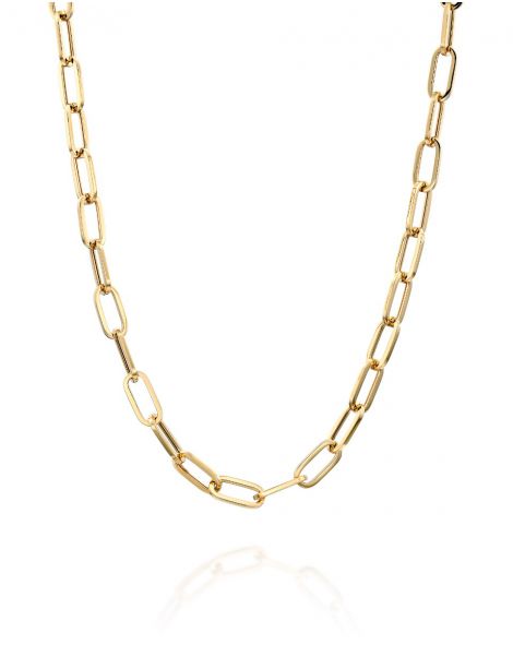 Gold By Padani Link Necklace