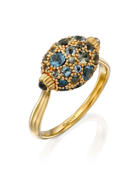 Nanis Reverse Ring