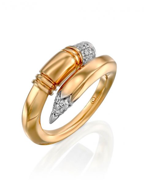 Large Expression Ring