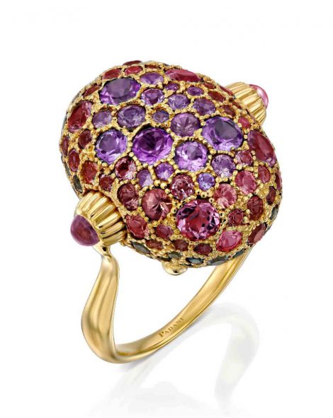 Nanis Reverse Ring