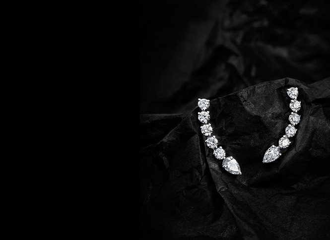 Earrings 2
