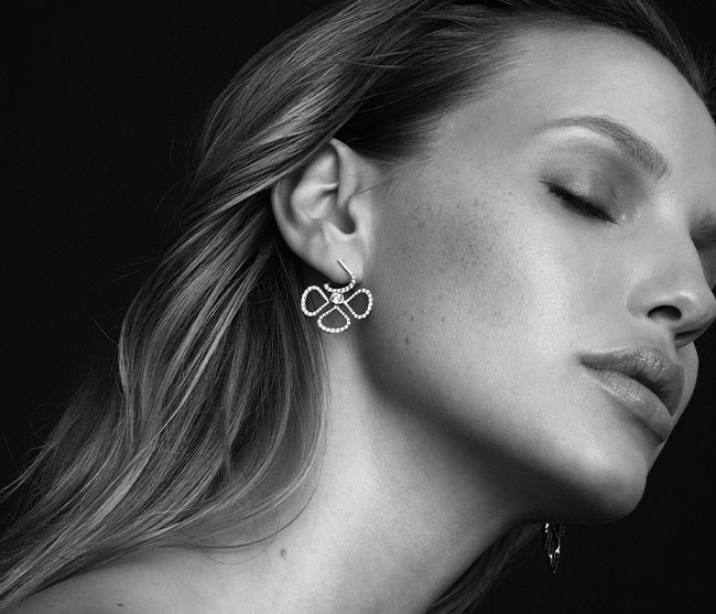 עגילי ויולטו עגילי ויולטו